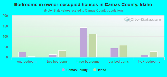 Bedrooms in owner-occupied houses in Camas County, Idaho