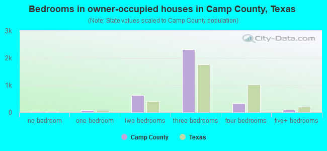 Bedrooms in owner-occupied houses in Camp County, Texas
