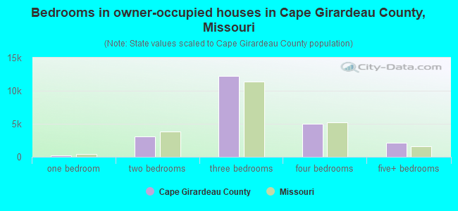 Bedrooms in owner-occupied houses in Cape Girardeau County, Missouri