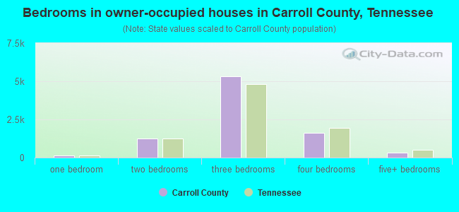 Bedrooms in owner-occupied houses in Carroll County, Tennessee