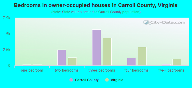 Bedrooms in owner-occupied houses in Carroll County, Virginia