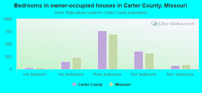 Bedrooms in owner-occupied houses in Carter County, Missouri