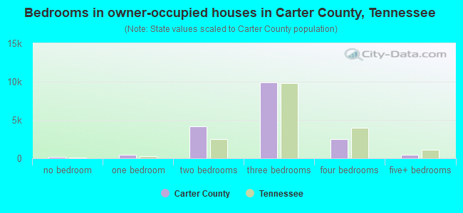 Bedrooms in owner-occupied houses in Carter County, Tennessee