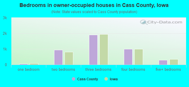 Bedrooms in owner-occupied houses in Cass County, Iowa