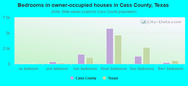 Bedrooms in owner-occupied houses in Cass County, Texas