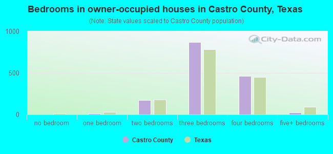 Bedrooms in owner-occupied houses in Castro County, Texas