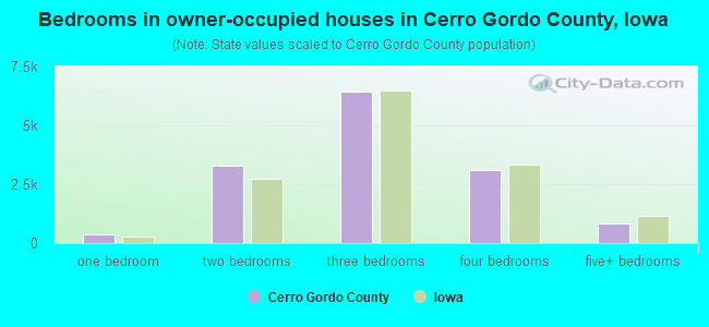 Bedrooms in owner-occupied houses in Cerro Gordo County, Iowa