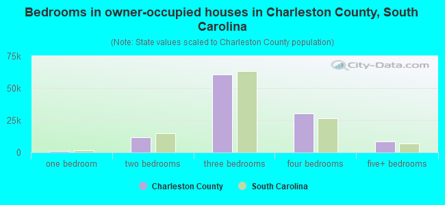 Bedrooms in owner-occupied houses in Charleston County, South Carolina