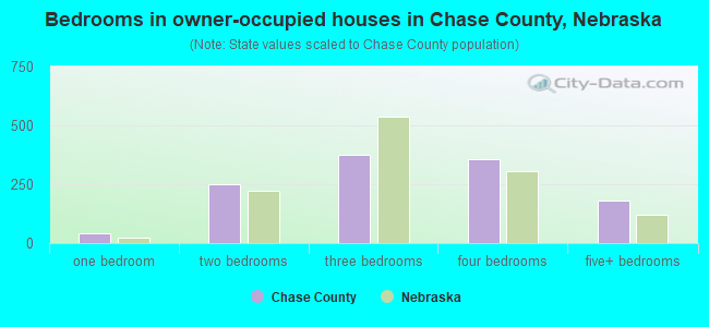 Bedrooms in owner-occupied houses in Chase County, Nebraska