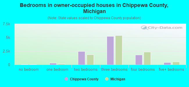 Bedrooms in owner-occupied houses in Chippewa County, Michigan