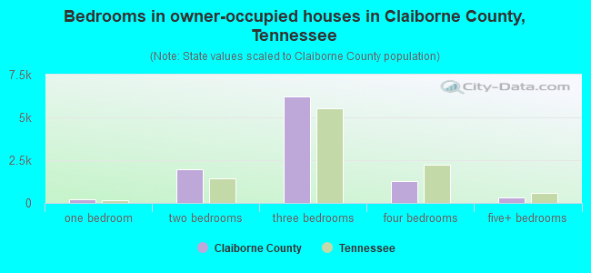 Bedrooms in owner-occupied houses in Claiborne County, Tennessee