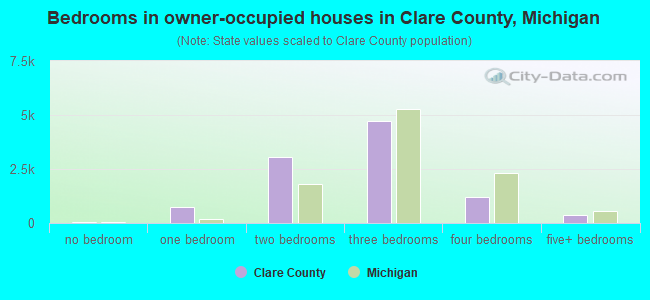 Bedrooms in owner-occupied houses in Clare County, Michigan