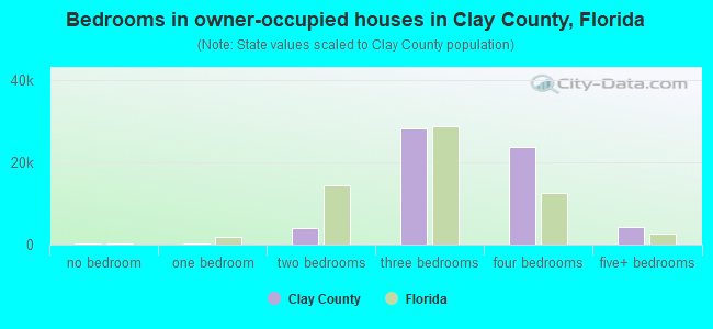 Bedrooms in owner-occupied houses in Clay County, Florida