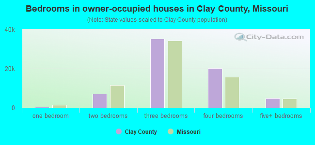 Bedrooms in owner-occupied houses in Clay County, Missouri