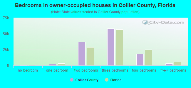 Bedrooms in owner-occupied houses in Collier County, Florida