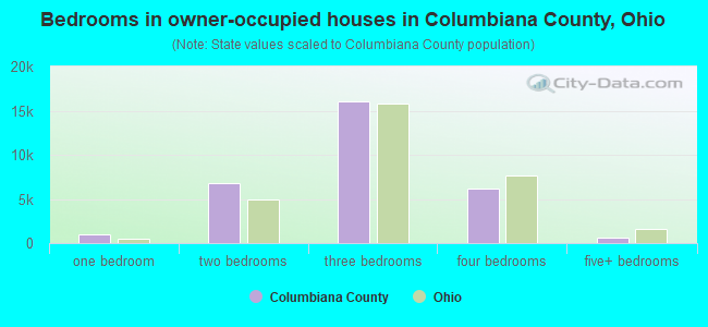 Bedrooms in owner-occupied houses in Columbiana County, Ohio