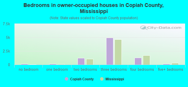 Bedrooms in owner-occupied houses in Copiah County, Mississippi