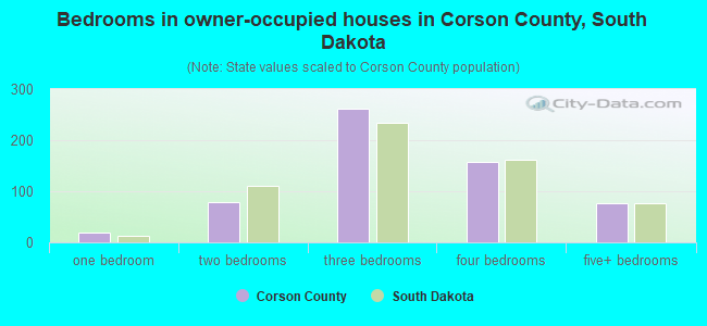 Bedrooms in owner-occupied houses in Corson County, South Dakota