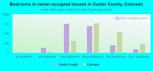 Bedrooms in owner-occupied houses in Custer County, Colorado