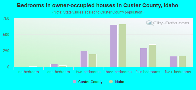 Bedrooms in owner-occupied houses in Custer County, Idaho