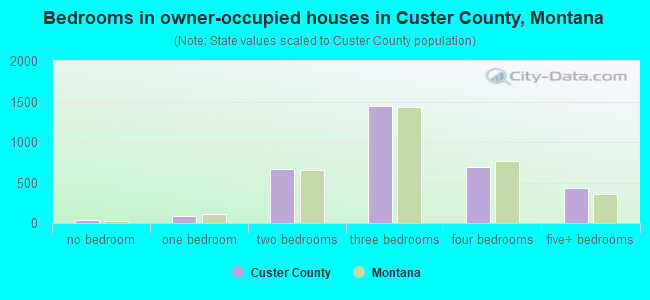 Bedrooms in owner-occupied houses in Custer County, Montana