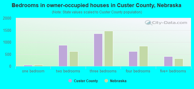 Bedrooms in owner-occupied houses in Custer County, Nebraska