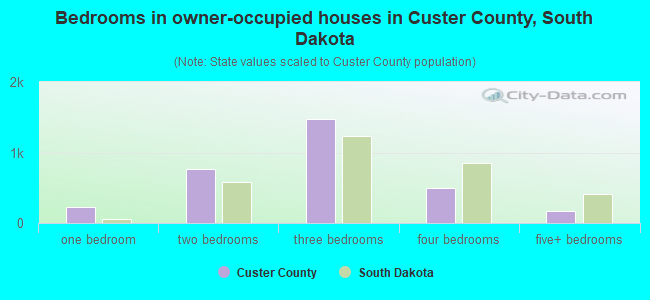 Bedrooms in owner-occupied houses in Custer County, South Dakota