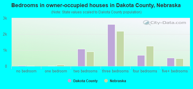 Bedrooms in owner-occupied houses in Dakota County, Nebraska