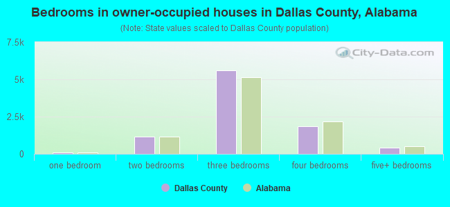Bedrooms in owner-occupied houses in Dallas County, Alabama