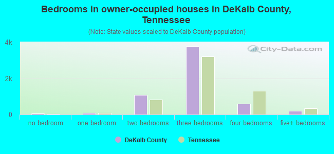 Bedrooms in owner-occupied houses in DeKalb County, Tennessee
