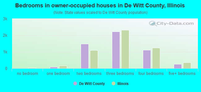 Bedrooms in owner-occupied houses in De Witt County, Illinois