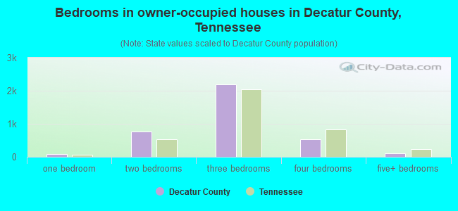 Bedrooms in owner-occupied houses in Decatur County, Tennessee