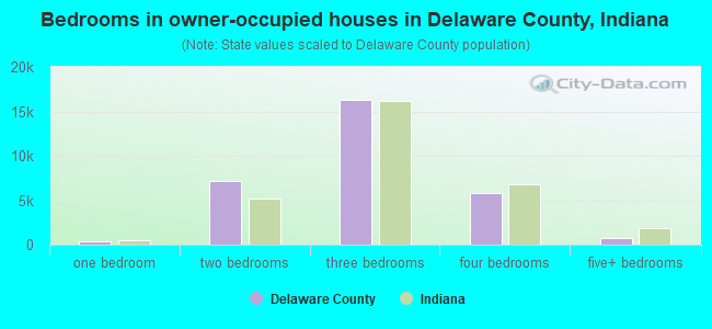 Bedrooms in owner-occupied houses in Delaware County, Indiana