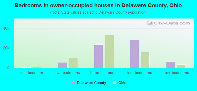 Bedrooms in owner-occupied houses in Delaware County, Ohio