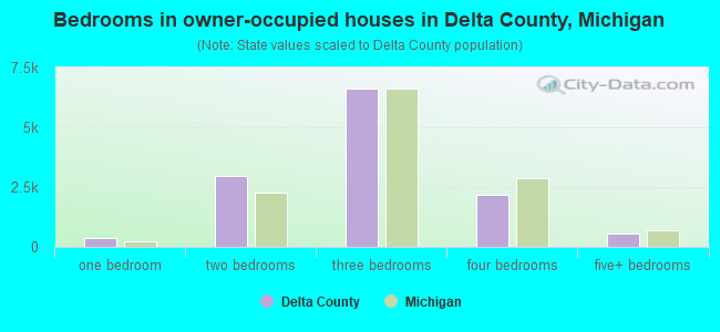 Bedrooms in owner-occupied houses in Delta County, Michigan