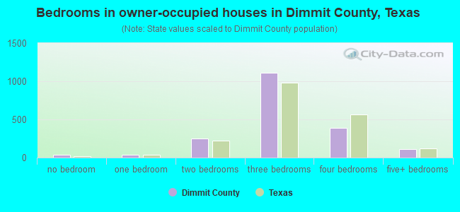 Bedrooms in owner-occupied houses in Dimmit County, Texas
