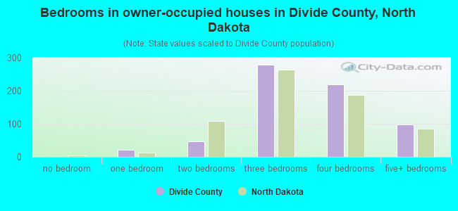 Bedrooms in owner-occupied houses in Divide County, North Dakota