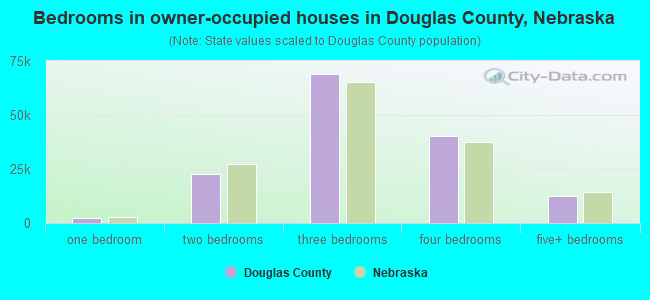 Bedrooms in owner-occupied houses in Douglas County, Nebraska