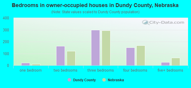 Bedrooms in owner-occupied houses in Dundy County, Nebraska
