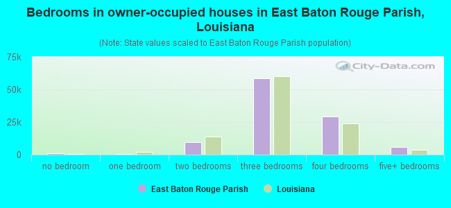 Bedrooms in owner-occupied houses in East Baton Rouge Parish, Louisiana