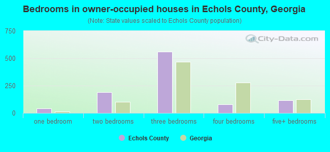Bedrooms in owner-occupied houses in Echols County, Georgia