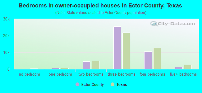 Bedrooms in owner-occupied houses in Ector County, Texas