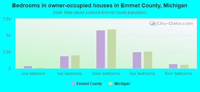 Bedrooms in owner-occupied houses in Emmet County, Michigan