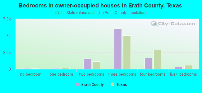 Bedrooms in owner-occupied houses in Erath County, Texas