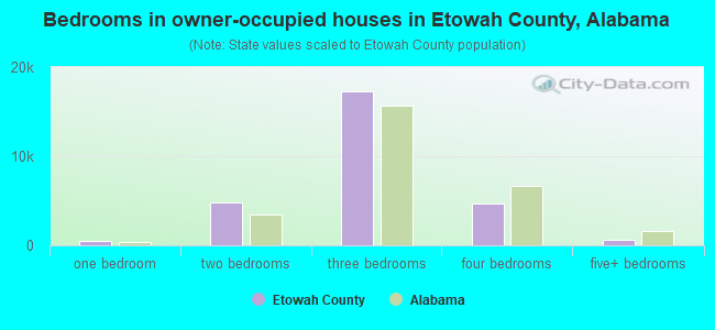 Bedrooms in owner-occupied houses in Etowah County, Alabama