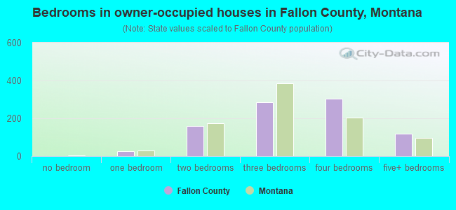 Bedrooms in owner-occupied houses in Fallon County, Montana