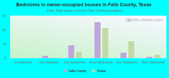 Bedrooms in owner-occupied houses in Falls County, Texas