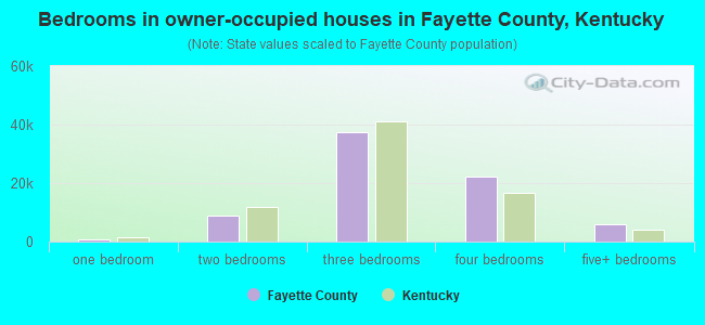 Bedrooms in owner-occupied houses in Fayette County, Kentucky
