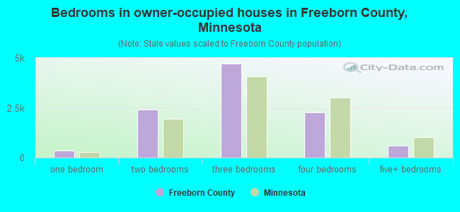 Bedrooms in owner-occupied houses in Freeborn County, Minnesota