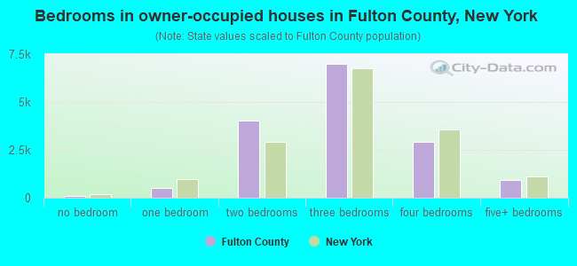 Bedrooms in owner-occupied houses in Fulton County, New York